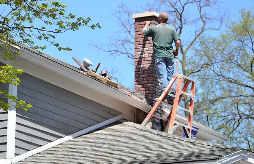 Chimney & Fireplace Inspections Services in Somerset, NJ